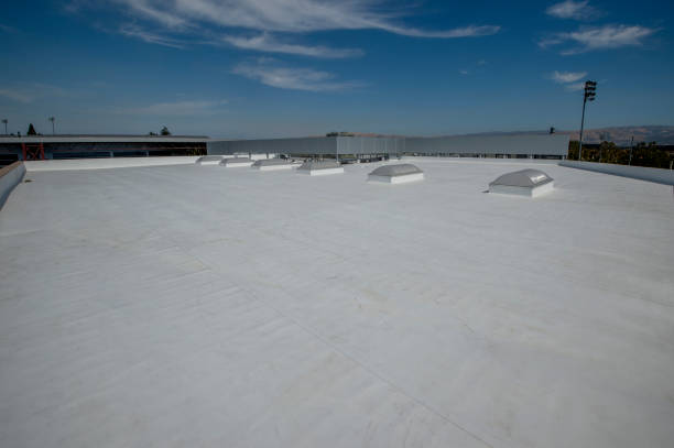 Best Sheet Metal Roofing  in Queen Creek, AZ